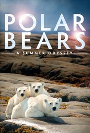Polar Bears: A Summer Odyssey (2012) Free Movie M4ufree