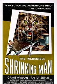 The Incredible Shrinking Man (1957) Free Movie
