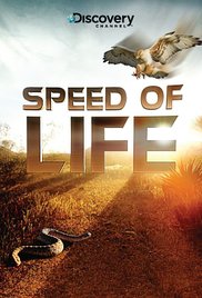 Speed of Life (2010) Free Movie