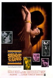 Splendor in the Grass (1961) Free Movie