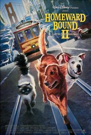 Homeward Bound II: Lost in San Francisco (1996) Free Movie