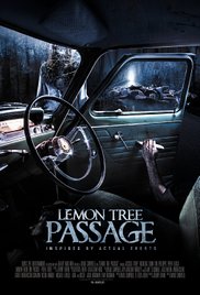 Lemon Tree Passage (2013) Free Movie