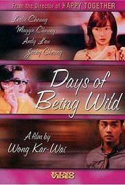Days of Being Wild (1990) Free Movie